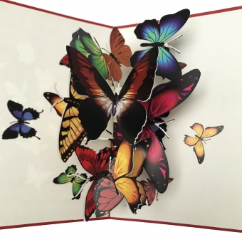 pop-up vlinder wolk kaart